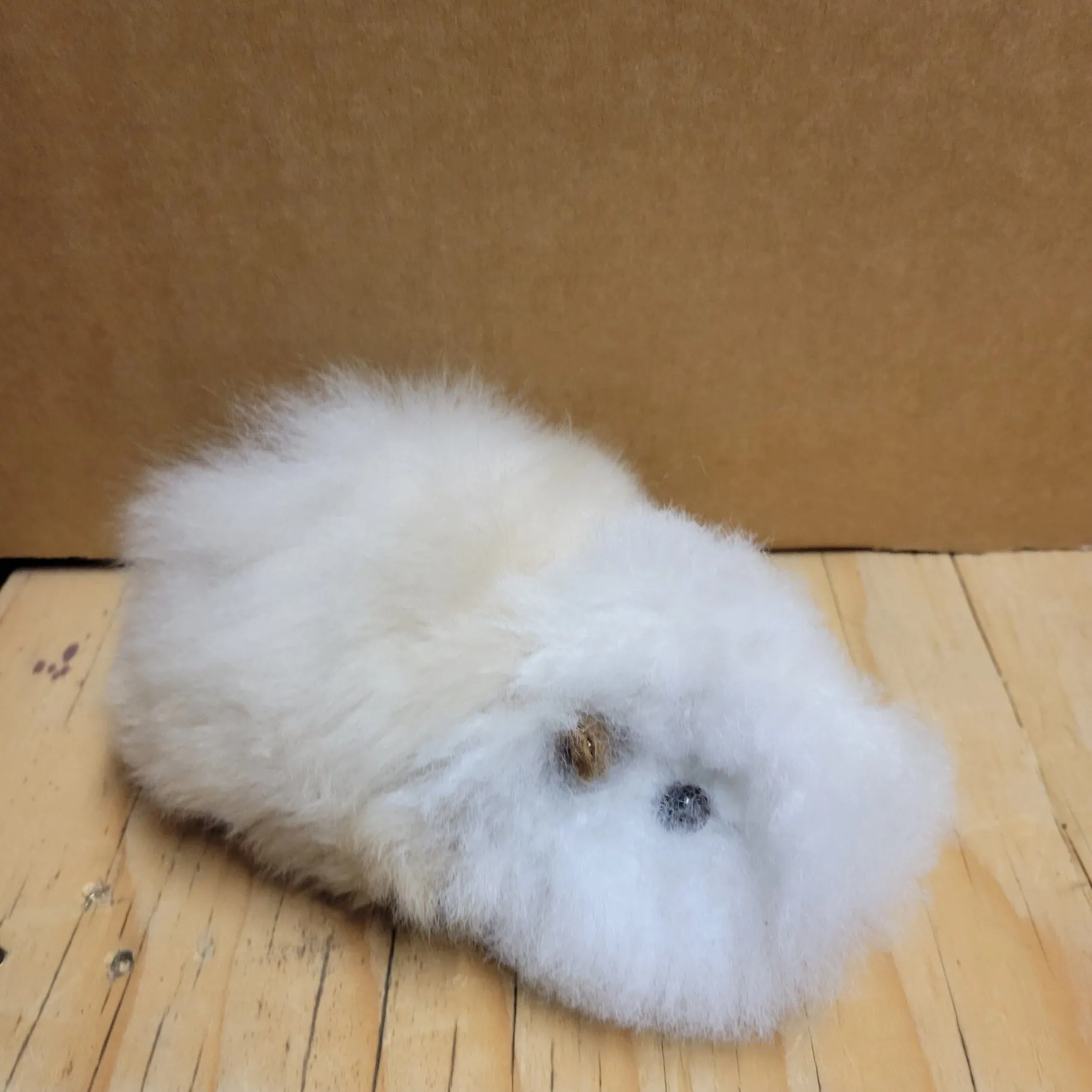 Fur Alpaca Guinea Pig ("Cuy")